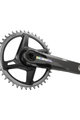 SRAM Kurbeln und Kettenblätter - FORCE 1X WIDE D2 DUB IRIDESCENT 175mm - Schwarz