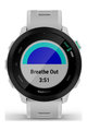 GARMIN FORERUNNER 55 - Grau