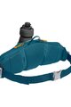 CAMELBAK Nierenbeutel - PODIUM FLOW 2 - Blau