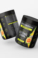 ENDORPHIN NUTRITION Drink - ISO DRINK CANTALOUPE 500gr